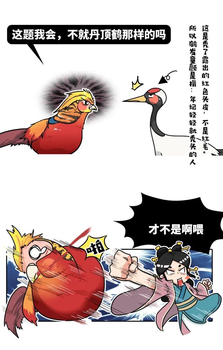 broken image